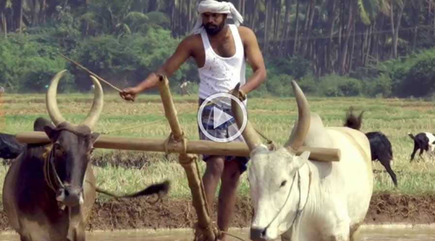 best wedding photographers in kovilpatti,best wedding photography in kovilpatti,best candid photographers in kovilpatti,best candid photography in kovilpatti,best marriage photographers in kovilpatti,best marriage photography in kovilpatti,best photographers in kovilpatti,best photography in kovilpatti,best wedding candid photography in kovilpatti,best wedding candid photographers in kovilpatti,best wedding video in kovilpatti,best wedding videographers in kovilpatti,best wedding videography in kovilpatti,best candid videographers in kovilpatti,best candid videography in kovilpatti,best marriage videographers in kovilpatti,best marriage videography in kovilpatti,best videographers in kovilpatti,best videography in kovilpatti,best wedding candid videography in kovilpatti,best wedding candid videographers in kovilpatti,best helicam operators in kovilpatti,best drone operators in kovilpatti,best wedding studio in kovilpatti,best professional photographers in kovilpatti,best professional photography in kovilpatti,No.1 wedding photographers in kovilpatti,No.1 wedding photography in kovilpatti,kovilpatti wedding photographers,kovilpatti wedding photography,kovilpatti wedding videos,best candid videos in kovilpatti,best candid photos in kovilpatti,best helicam operators photography in kovilpatti,best helicam operator photographers in kovilpatti,best outdoor videography in kovilpatti,best professional wedding photography in kovilpatti,best outdoor photography in kovilpatti,best outdoor photographers in kovilpatti,best drone operators photographers in kovilpatti,best wedding candid videography in kovilpatti